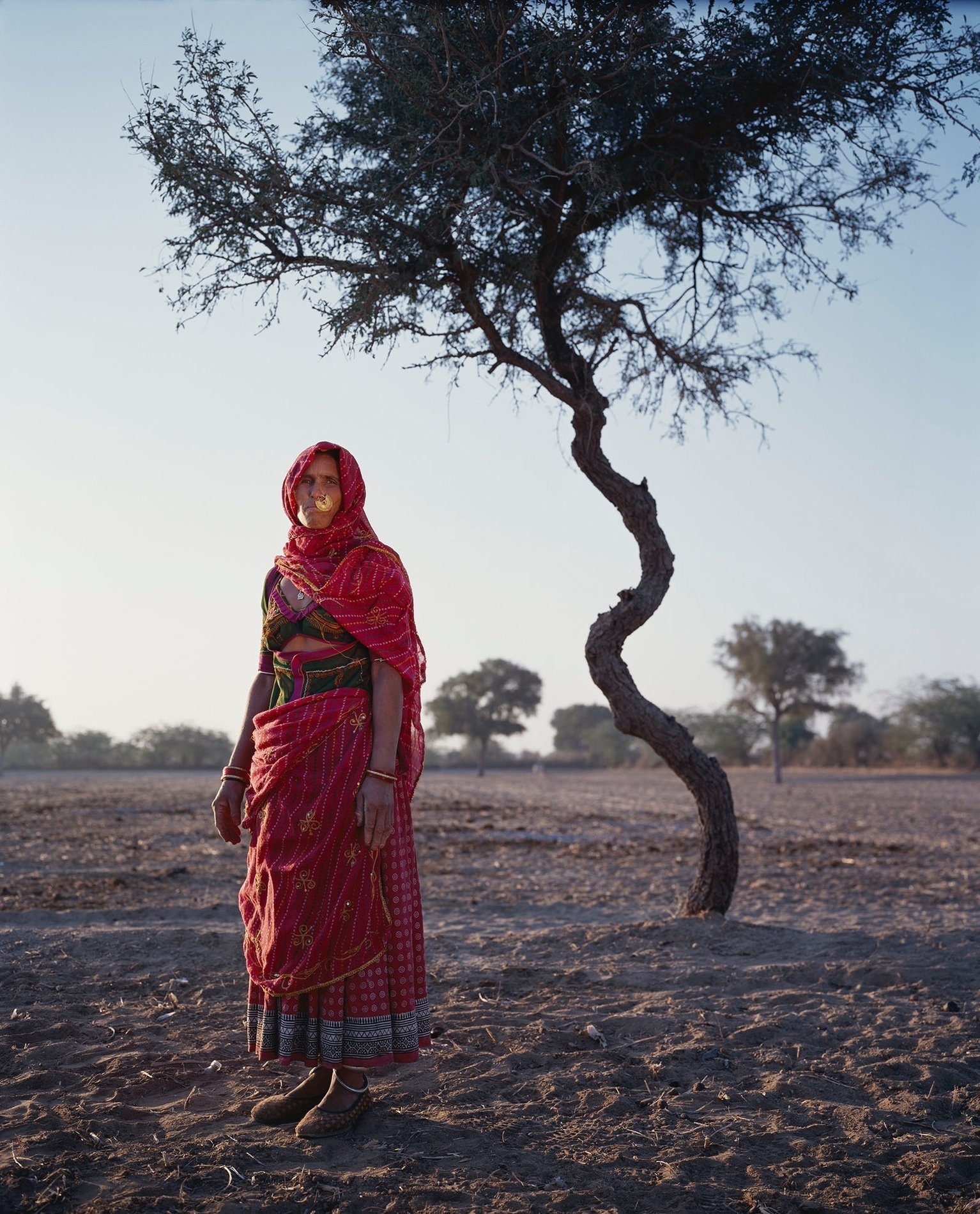 Kanli - Bishnoi people - Rajasthan - India. 