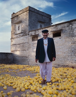 Madho - Rajasthan - India.