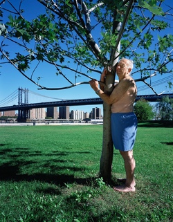 Sema - New York Treehugger.